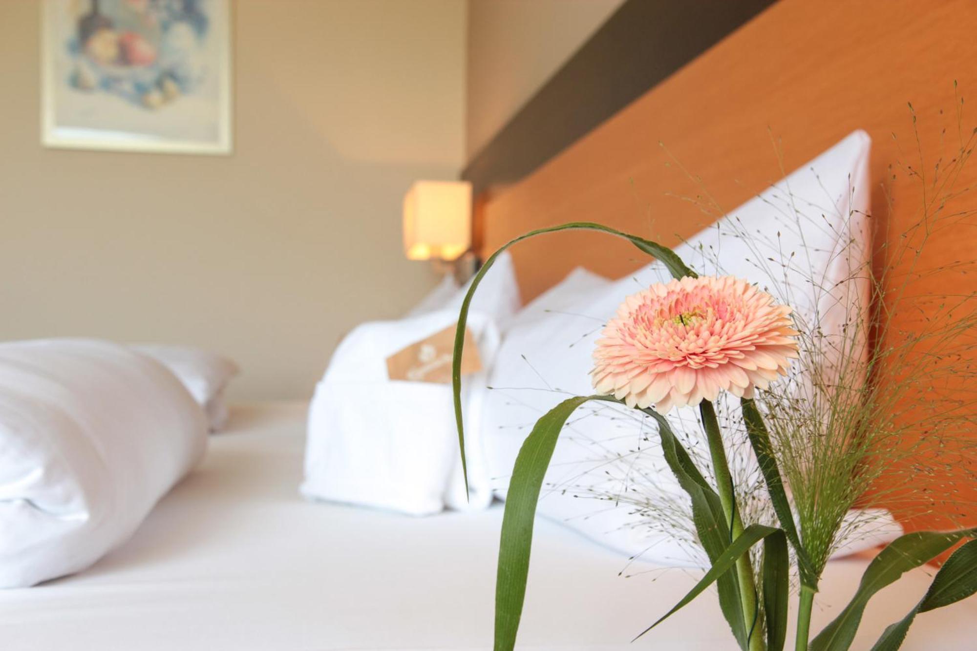 Hotel Leinsweiler Hof Екстериор снимка